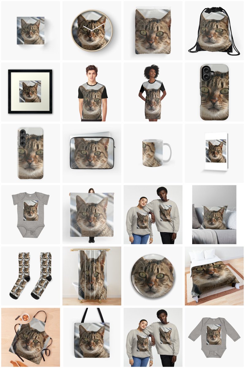 TaicheTees's tweet photo. Beautiful Eyed Tabby Cat #taiche #redbubble #ThrowPillow #catworship #cats #catoftheday #catworldwide #ilovemycat #catlover #cat #furchild #pet #feline #catlovers #catlove #catlovergifts #giftsforcatlovers #giftideas https://t.co/D3N5kUjT96 https://t.co/OCVn6iOFbA