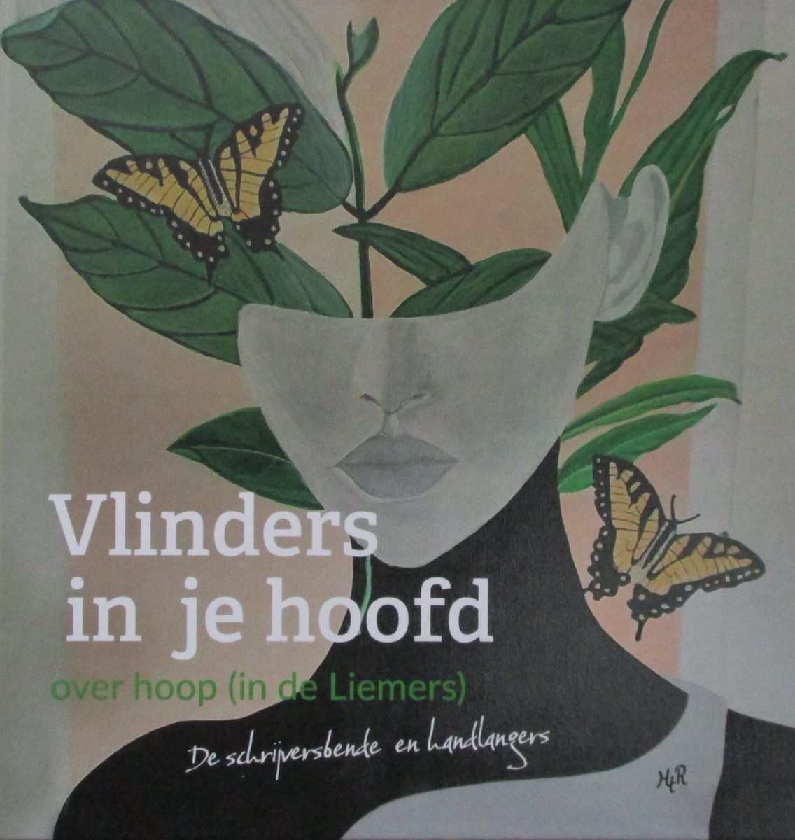 M’n verhaal ‘Vaders verborgen hoop’ staat in deze mooie hardcover #bundel ‘Vlinders in je hoofd, over #hoop (in de #Liemers)’. 🥳 De #schrijfsels van de schrijversbende (#Westervoort) vormen de kern van de bundel, aangevuld met bijdragen uit een #schrijfwedstrijd (handlangers).😉