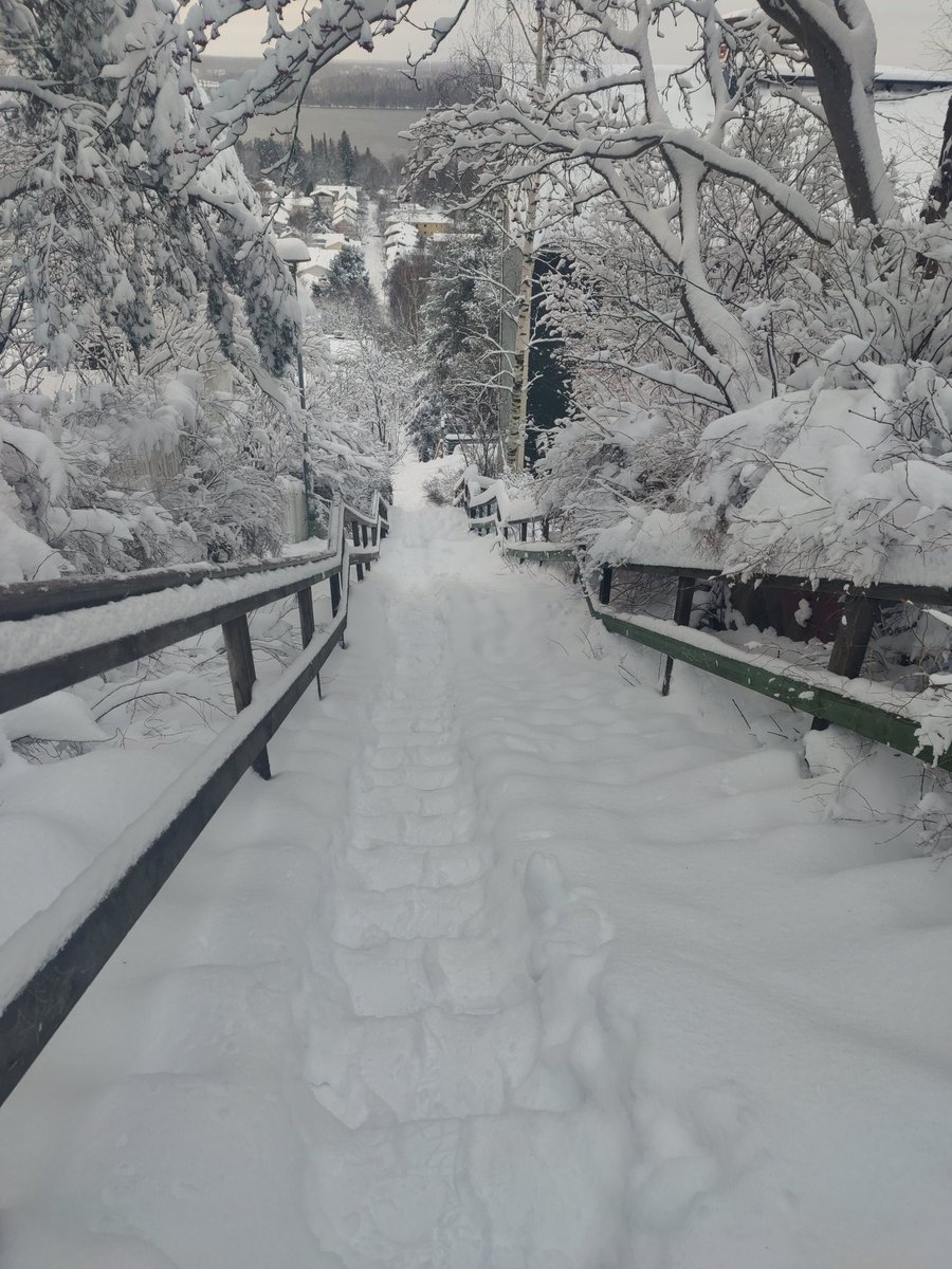 sorvatar's tweet photo. Pitkästä aikaa Pispalan portaissa. Lumesta pientä lisäbonusta, portaiden lisäksi muuallakin sai kävellä lumessa. N. 6 km.lenkki. Näissä portaissa tuli vuosia sitten käytyä kolmekin kertaa viikossa.
Nähtiin myös reippaita lumessa lenkkeilijöitä.
#pispalanportaat #talvi #lunta https://t.co/htRNDm3cRU