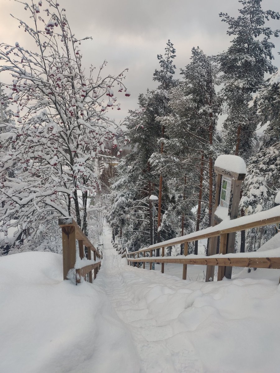 sorvatar's tweet photo. Pitkästä aikaa Pispalan portaissa. Lumesta pientä lisäbonusta, portaiden lisäksi muuallakin sai kävellä lumessa. N. 6 km.lenkki. Näissä portaissa tuli vuosia sitten käytyä kolmekin kertaa viikossa.
Nähtiin myös reippaita lumessa lenkkeilijöitä.
#pispalanportaat #talvi #lunta https://t.co/htRNDm3cRU