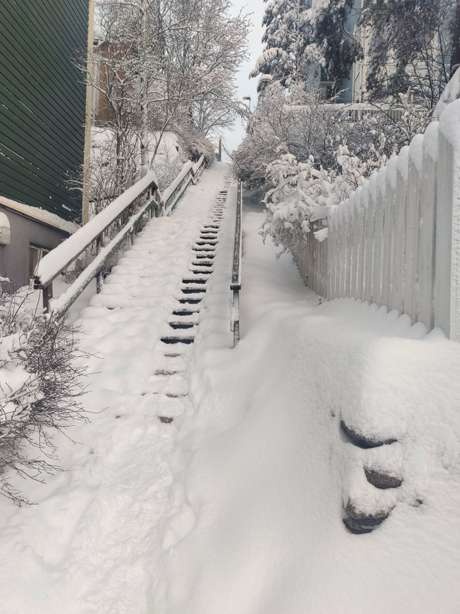 sorvatar's tweet photo. Pitkästä aikaa Pispalan portaissa. Lumesta pientä lisäbonusta, portaiden lisäksi muuallakin sai kävellä lumessa. N. 6 km.lenkki. Näissä portaissa tuli vuosia sitten käytyä kolmekin kertaa viikossa.
Nähtiin myös reippaita lumessa lenkkeilijöitä.
#pispalanportaat #talvi #lunta https://t.co/htRNDm3cRU