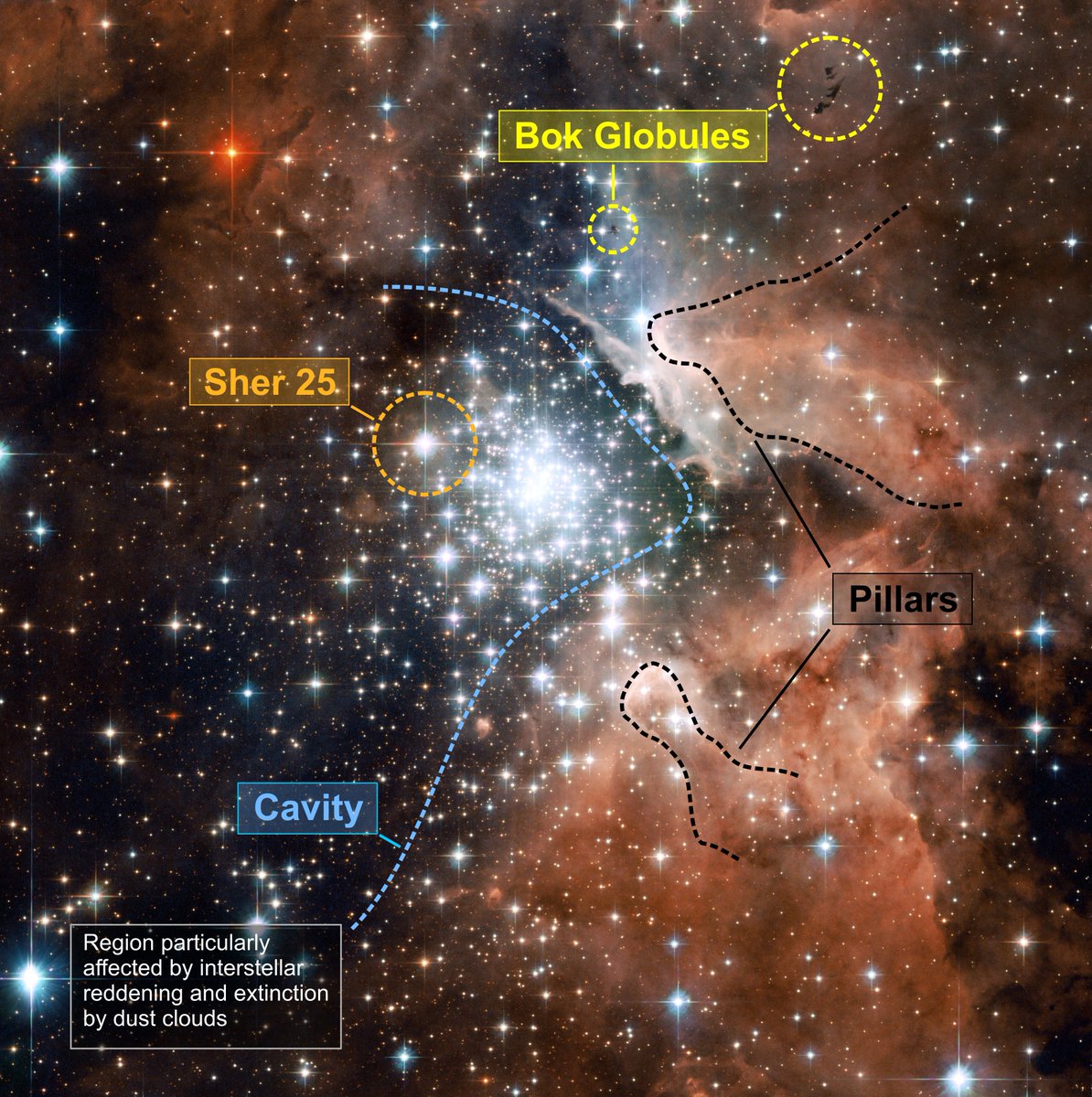 picard_224's tweet photo. 【 ☄️今日のハッブル画像 】2024-12-15~ハッブルの新しい画像で、極限の星団が活気づく~
#りゅうこつ座 #NGC3603 #カリーナ渦巻き腕 #若い星団 #星団 #渦巻星雲 #ハッブル #ウェッブ #チャンドラ #NASA #ESA #picard
🌟①画像左上:ハッブル宇宙望遠鏡の最新画像に写っている星形成領域 NGC 3603 には、天の川銀河で最も印象的な巨大な若い星団の 1 つが含まれています。ガスと塵に覆われたこの星団は、約 100 万年前に起こったと考えられる大規模な星形成ラッシュで形成されました。中心にある熱い青い星は、NGC 3603 の中心にある星団の右側に見えるガスに巨大な空洞を掘り出す役割を果たしています。
クレジット:NASA、ESA、ハッブル遺産 (STScI/AURA) - ESA/ハッブル共同研究
🌟②画像右上:上のハッブル画像の注釈付きバージョン。NGC 3603 の中心にある巨大な星団の若い星によって吹き飛ばされた巨大な空洞が、星団の右側に見えます。特に興味深いのは、画像の左下です。これは、星の光の消滅と、前景の塵の雲によって引き起こされた星間赤化が混在しているため、より暗くなっています。巨大なガスの柱が中央の星団から伸びているのも見えますが、画像の右上には、星雲を背景にシルエットをなす印象的なボック グロビュールがあります。
クレジット:NASA、ESA、ハッブル遺産 (STScI/AURA) - ESA/ハッブル共同研究
🌟③画像左下:デジタイズド・スカイ・サーベイ 2 によって地上で撮影された NGC 3603 領域の広視野画像。輝く水素ガスの雲 (ここではオレンジ色で表示) が広大な輝線星雲を構成しています。視野は約 2.6 x 2.8 度です。
クレジット:NASA、ESA、およびデジタルスカイサーベイ 2. 謝辞: Davide De Martin (ESA/Hubble)ESA /ハッブル(M. Kornmesser & LL Christensen)、Robert Gendler
🌟⑤動画右下:南天の川の広角ビューから NGC 3603 の中心部にズームイン。
クレジット:ESA /ハッブル(M. Kornmesser & LL Christensen)、Robert Gendler
💫【 解 説 】
NASA/ESA ハッブル宇宙望遠鏡は、天の川銀河で最も目立つ大規模な若い星団の 1 つを擁する巨大星雲 NGC 3603 の素晴らしい画像を撮影し、星形成研究のための主要なテンプレートを提供しました。
NGC 3603 は、太陽系から約 20,000 光年離れた天の川銀河のカリーナ渦巻き腕に位置する、顕著な星形成領域です。NASA/ESA ハッブル宇宙望遠鏡によるこの最新の画像は、広大な塵とガスの領域に囲まれた若い星団を示しています。画像内の明るい星のほとんどは、高温の青い星で、その紫外線と激しい風によって、星団を包むガスと塵に巨大な空洞が吹き飛ばされています。
ハッブルの新しい画像は、若い星団内の質量は異なるが年齢は近い多くの星の瞬間的なスナップショットを提供します。これにより、生涯のさまざまな段階にある数種類の星の詳細な分析が可能になります。天文学者は、年齢の異なる星団を互いに比較し、星が年をとるにつれてどの特性(温度や明るさなど)が変化するかを判断することができます。
ハッブル宇宙望遠鏡の調査を率いるスペインのアンダルシア天体物理学研究所の天文学者ヘスス・マイス・アペジャニス博士によると、NGC 3603 の巨大な星団は、その中心に最も質量の大きい星が集まっているようだ。博士と彼のチームは、この非常に密度の高い星団の中心にあるさまざまな種類の星の分布が、天の川銀河の他の若い星団の分布と似ていることを発見した。
研究チームはまた、中心にある最も明るい3つの星が、理論上の限界を超える質量を持つ天体であると我々を誤解させているらしいことも発見した。これらの重量級の星は、実際には2つ、あるいはそれ以上の質量の大きな星から成り、それらの光が混ざり合っているのかもしれない。ハッブルの解像度をもってしても、3つのシステムのそれぞれの星を分離することはできない。この発見は、カナダのモントリオール大学のアンソニー・モファット博士による最近の発見とも一致する。同博士はESOの超大型望遠鏡とハッブルの赤外線NICMOSカメラを使用して、3つのシステムのうち2つのシステムの個々の星の動きを測定した。モファット博士は、最大の個々の質量をおよそ太陽の115倍と測定したが、これは従来の理論の許容範囲内である。
NGC 3603 の渦巻星雲には、太陽質量の約 40 万倍のガスが含まれています。この広大な雲の中には、1940 年代に初めて観測したバート・ボックにちなんで名付けられた、いくつかのボック・グロビュール (画像の右上隅に表示) が潜んでいます。これらは、太陽の約 10 ~ 50 倍の質量を持つ、濃い塵とガスの暗黒雲です。昆虫の繭に似ており、新しい星を形成する途中で重力崩壊を起こしています。ボック・グロビュールは、宇宙で最も冷たい物体の 1 つであるようです。
NGC 3603 は、1834 年にジョン・ハーシェル卿によって初めて発見されました。この星団には、シャー 25 と呼ばれる青色超巨星があることが知られています。シャー 25 は、星団の最も密度の高い部分の上と左に見えます。この星は、超新星として爆発する寸前にあると考えられており、現在有名な超新星 SN 1987A の前身の天の川銀河版としてよく知られています。
注記
ハッブル宇宙望遠鏡は、ESA と NASA の国際協力プロジェクトです。
画像クレジット: NASA、ESA、ハッブル遺産 (STScI/AURA) - ESA/ハッブル共同研究
名 前:NGC 3603
タ イ プ:天の川 : 恒星 : グループ : 星団 : 開いた
距 離:20000光年
星 座:りゅうこつ座(カリーナ、Carina)
カ テ ゴ リ:星雲、星団