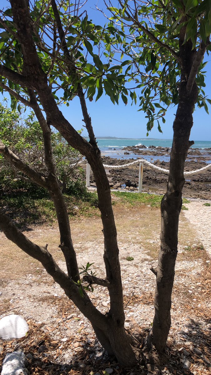 The weather may be misty but the #FranskraalArtRoute is in action. Visit the former Strandveld Museum aka ‘die Eilandhuisie’ to collect your route map and listen to various talks <a href="/franskraalaccom/">Franskraal Accom</a> <a href="/GansbaaiTourism/">Gansbaai Tourism</a>  <a href="/Tourism_Update/">Tourism Update</a> @<a href="/travelopulent/">Patrycja Oosthuizen</a> <a href="/SouthAfrica/">Visit South Africa</a>