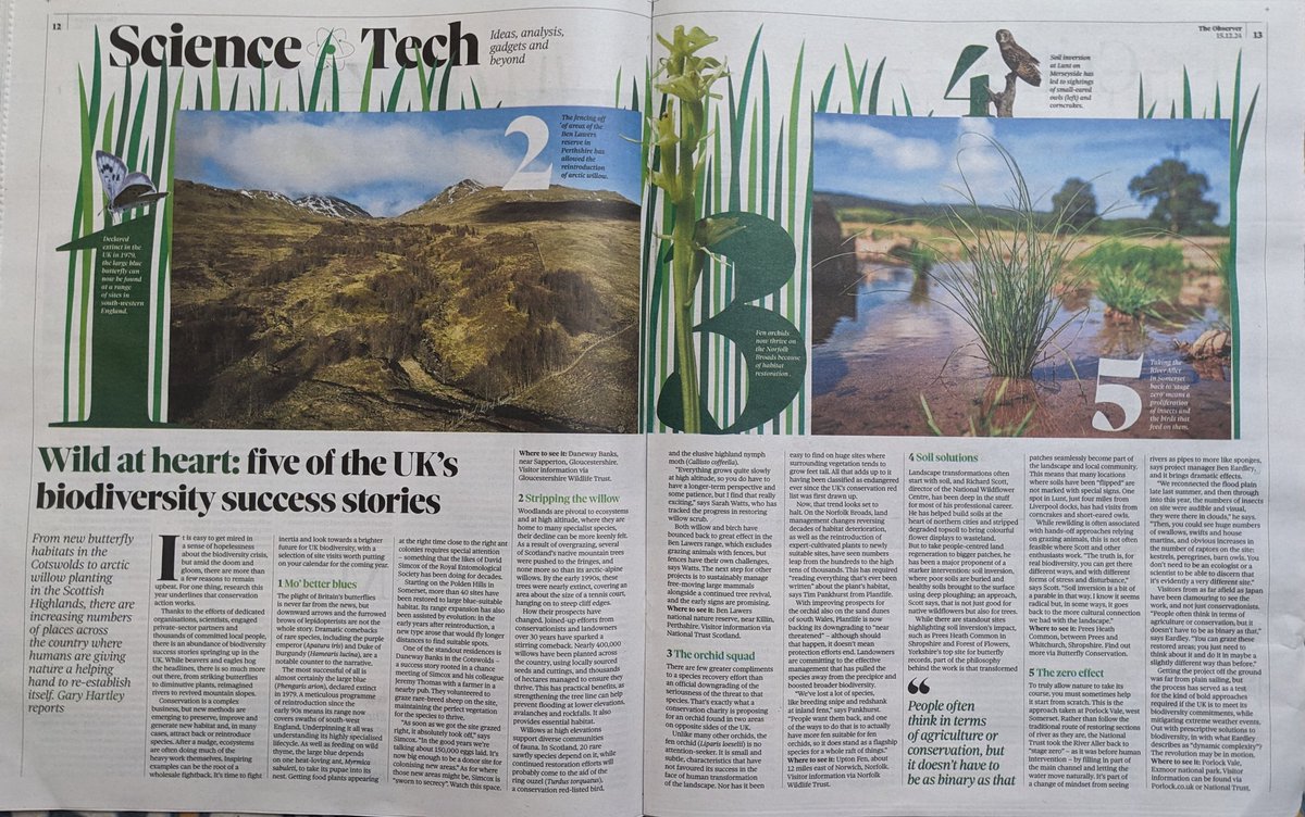 Sweet mention for Scouse Flowerhouse  linked project work in Lunt, great to get some national attention in the Observer today. In terms of the helping hand. There is lots more to show people here that's for sure!