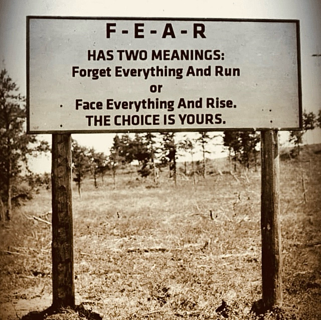 Denise🇺🇲 tweet media