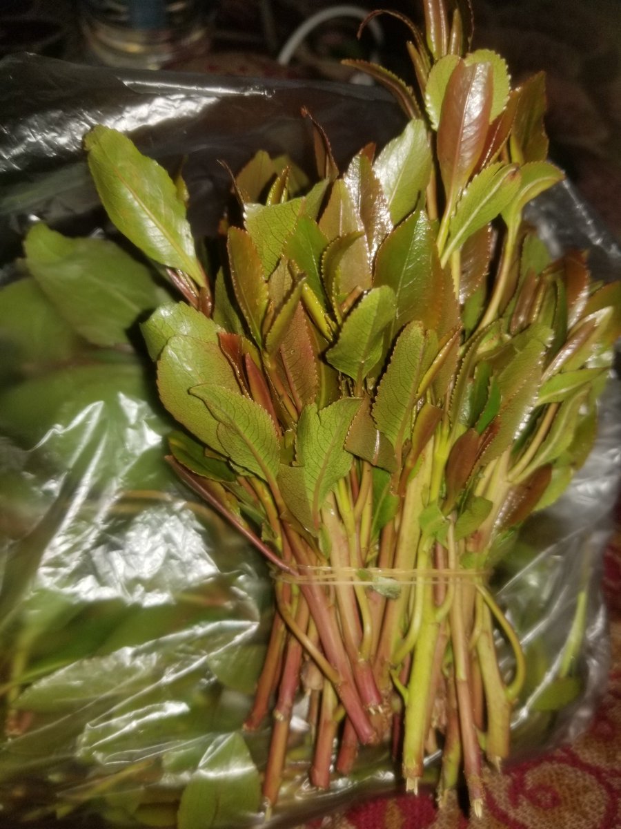 من تريد قات من هذا