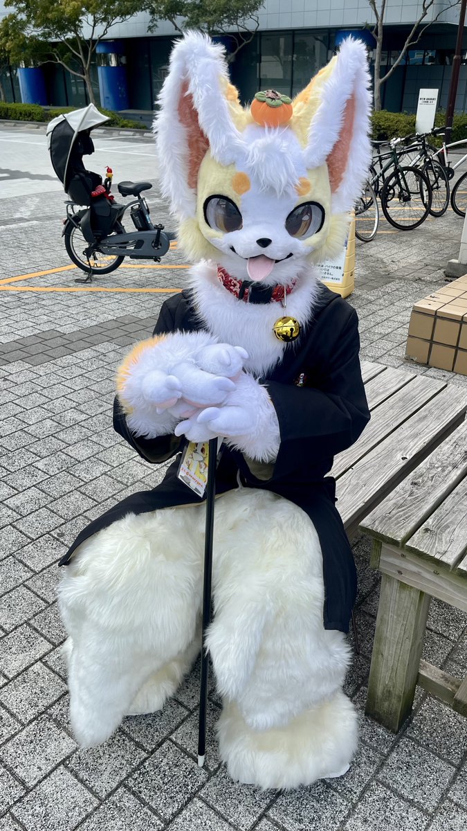 8dai_suekei's tweet photo. ソロくん!
カッキーくん!
もっちゃくん!
#KemonoSpaceFukuoka #KSF3rd https://t.co/GCETmOdkJO