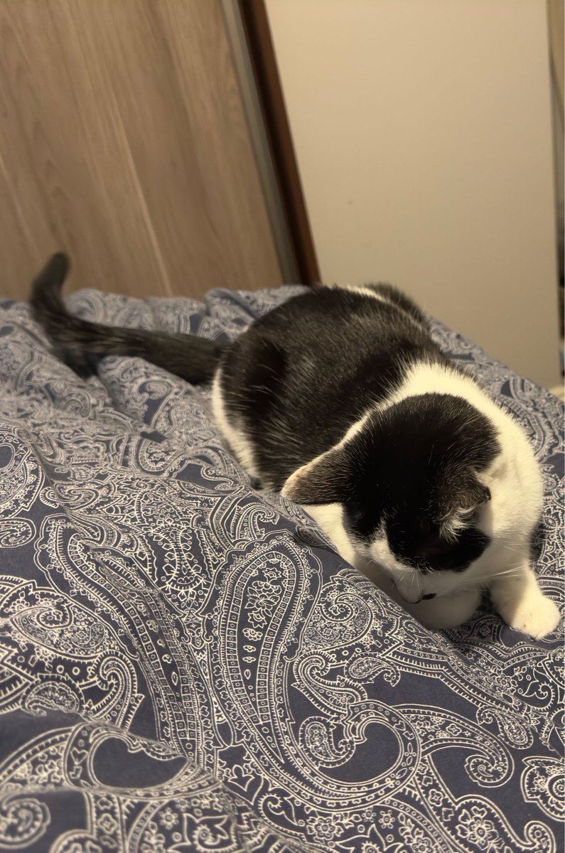 Pensinuf's tweet photo. Look at this fucking gremlin 🤣

My feet have never felt in so much danger. https://t.co/VA4jOQgiZR