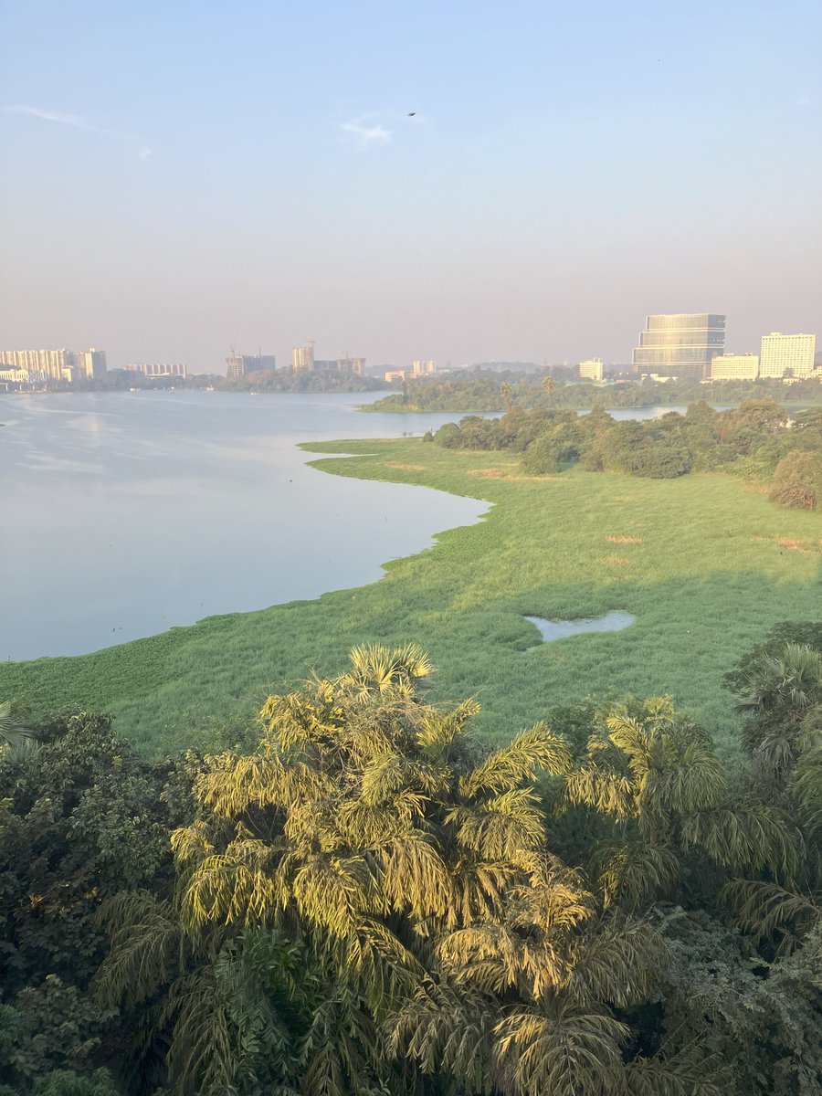 I was blown away by the engagement and discussion at <a href="/iitbombay/">IIT Bombay</a> during the Quantitative Bio of Collective Cell Behavior workshop this week, where I presented my project for the first time to an international audience. Huge thank you to <a href="/SayantanD2/">Sayantan Dutta</a> and Sanbed Das for hosting me!