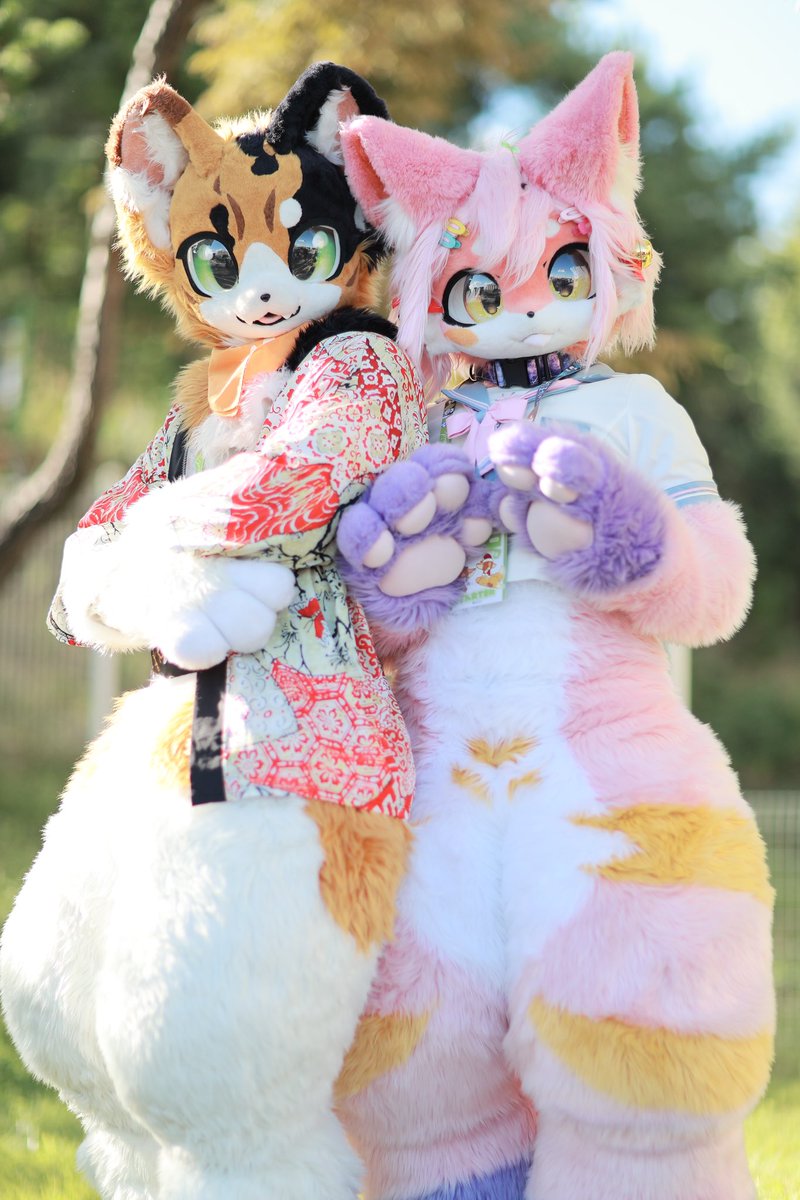 🧡🌸
#FursuitEveryday #fursuit #Rennka