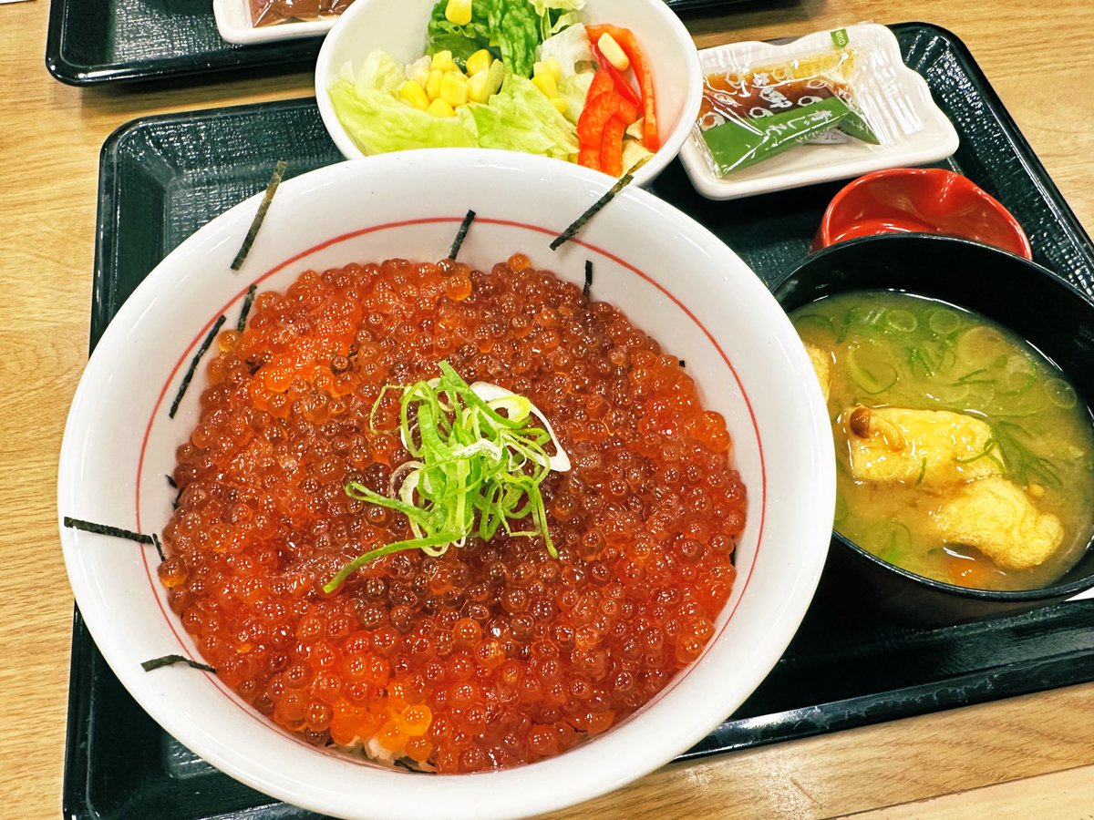 松屋 海苔 なか卯 ネギ イクラっぽいに関連した画像-02