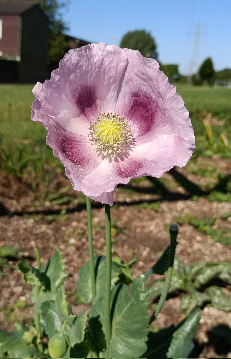 Sam WilsonLandscapes tweet media