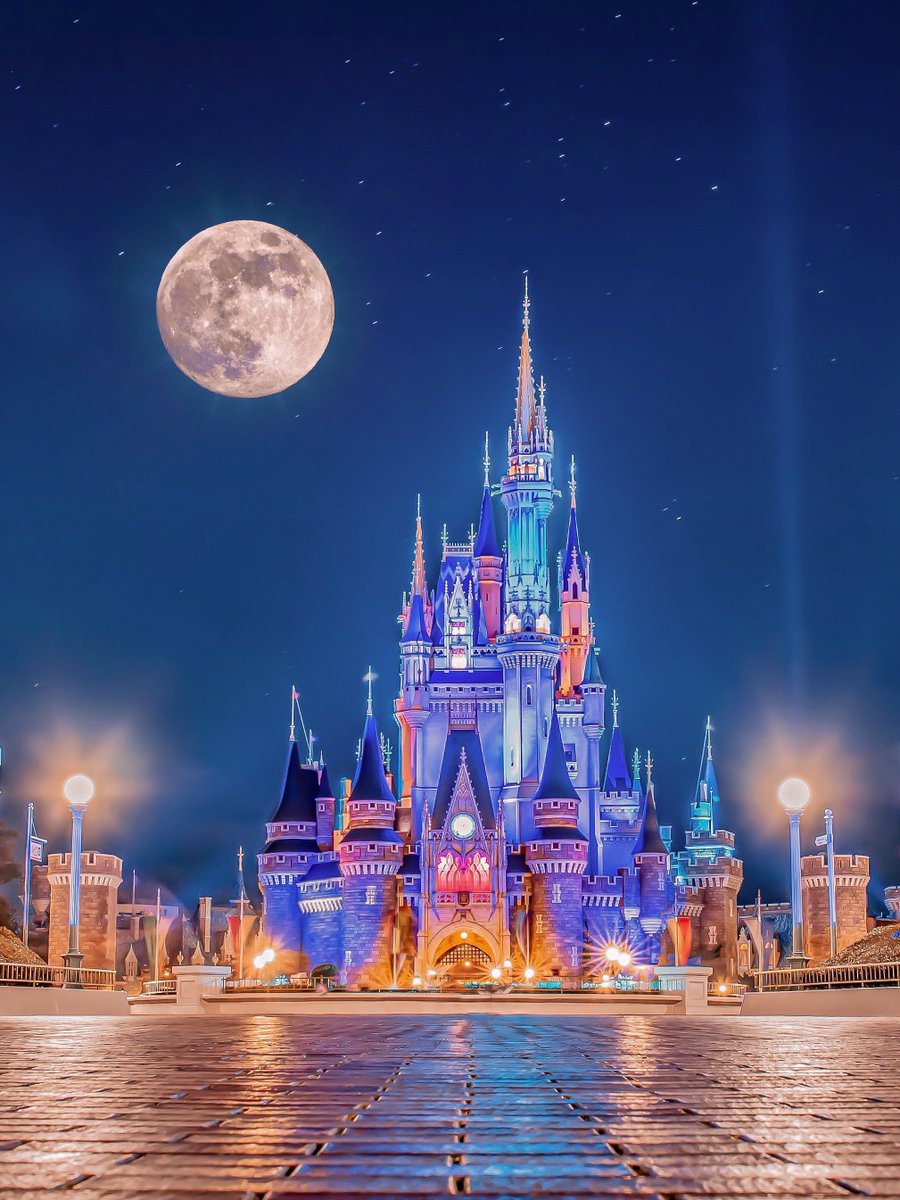 東京ディズニーランドと今年最後の満月。