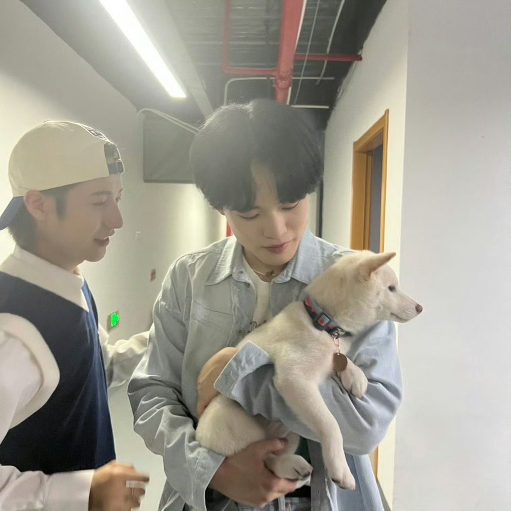 [ 𝘄𝘄𝘄𝗲𝗵𝘁𝘁𝗮𝗺 Instagram Update ] 

—

❤️ 1,123 🗨️ 456 
𝘄𝘄𝘄𝗲𝗵𝘁𝘁𝗮𝗺 🐶🤔

December 15, 2024