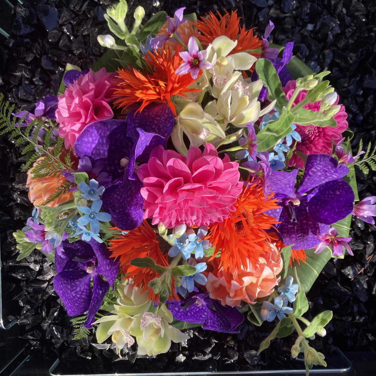 AtelierEnki's tweet photo. 絵具では描けぬ彩りを自然が奏でる

花は芸術の最終形

#名古屋花屋 #観葉植物 #おしゃれカフェ #おしゃれ花屋 #名古屋 #八事 https://t.co/hH0ntxnpqz