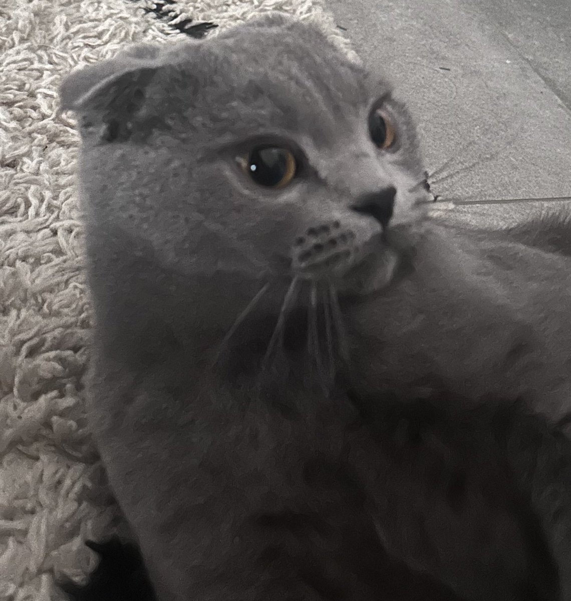 marietvj's tweet photo. Faut savoir que je me pèse toutes les semaines et là je vois j’ai pris 5kg en une semaine ?? Donc je me dis il y a un problème on prend pas 5kg comme ça 

Bah en fait il y avait le gros lardon sur la balance derrière moi https://t.co/macyqpEtiz