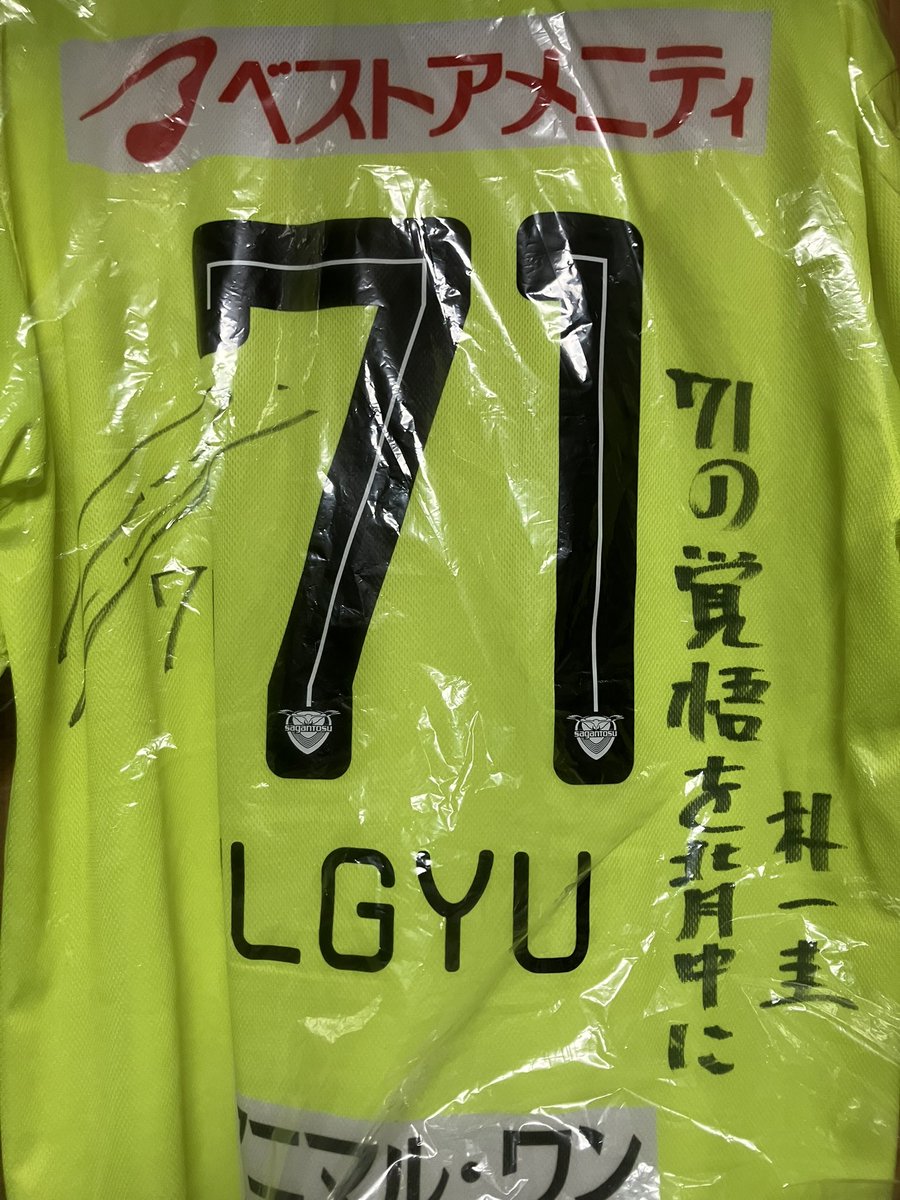 にゃんこ先生 tweet media