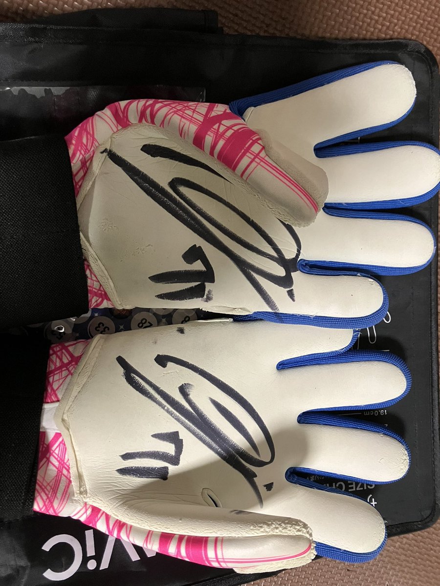 にゃんこ先生 tweet media