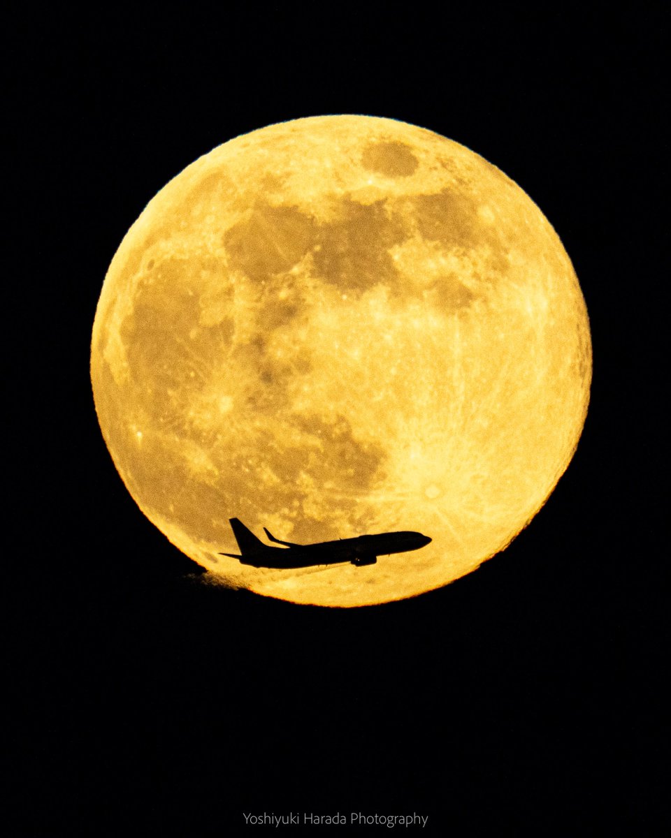 今年最後の満月「コールドムーン」
奇跡的に飛行機が