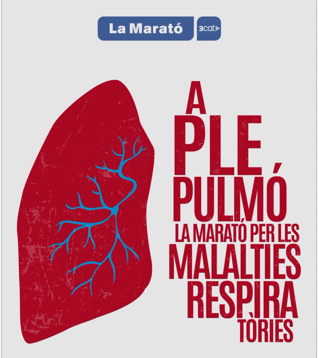 Avui es celebra la Marató de TV3. Segons la comunitat científica, la pol·lució, les partícules contaminants atmosfèriques  i el tabac estan entre les principals causes que provoquen aquestes patologies.
 
En <a href="/airenet2/">Airenet</a> <a href="/BarridelR/">BarridelRemei #Airenet</a> lluitem per un aire de qualitat.

#LaMarató3Cat