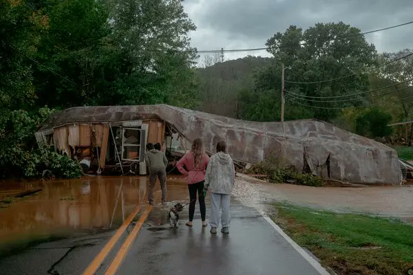 mattvanswol's tweet photo. 🚨#BREAKING: Over 156 people in #WNC have applied for a FEMA buyout of their property from Helene.

Just a gentle reminder that FEMA is refusing to help residents rebuild their homes...

...but are allowing residents to sell their property to FEMA to turn into a green space. https://t.co/DGs1AmqDnv
