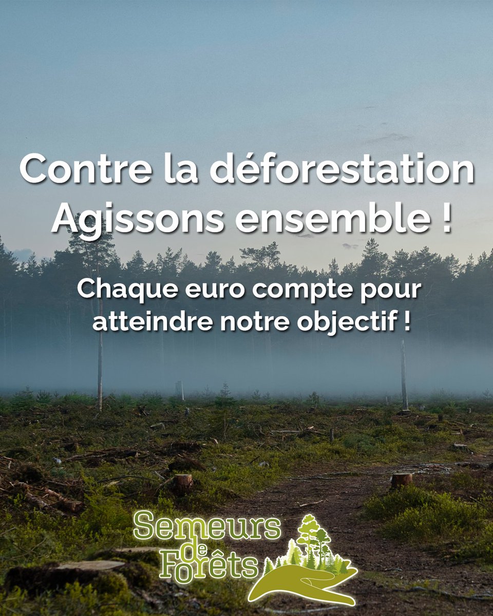 Semeurs de forêts tweet media