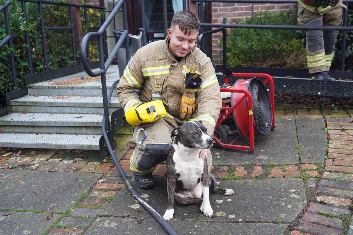 eddie mitchell tweet media