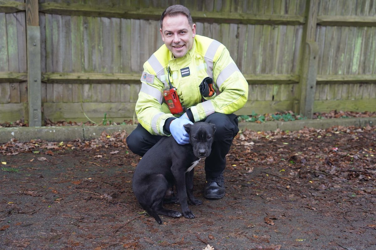 eddie mitchell tweet media