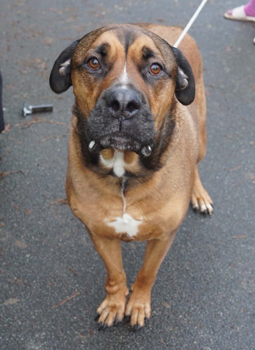 eddie mitchell tweet media