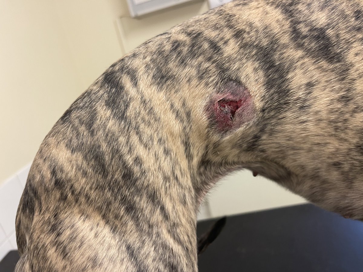 Kai 🌈& Co tweet media