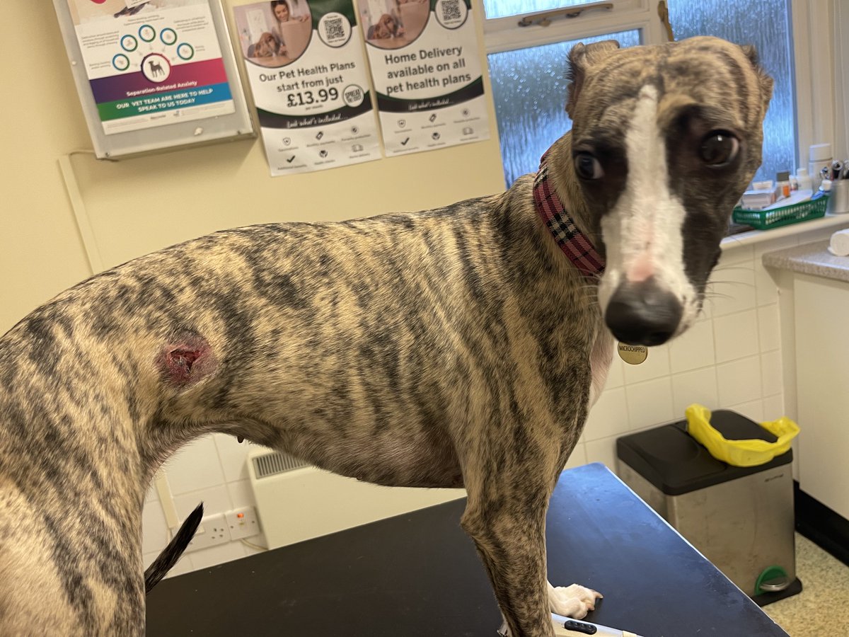 Kai 🌈& Co tweet media