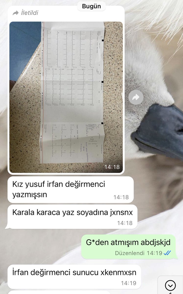 Kimsenin hiçbir şey bilmediği bir yerde bir insan her şeyi bilebilir