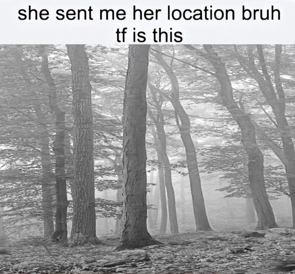 ronnie💌 (@ronnieswiftieee) on Twitter photo 