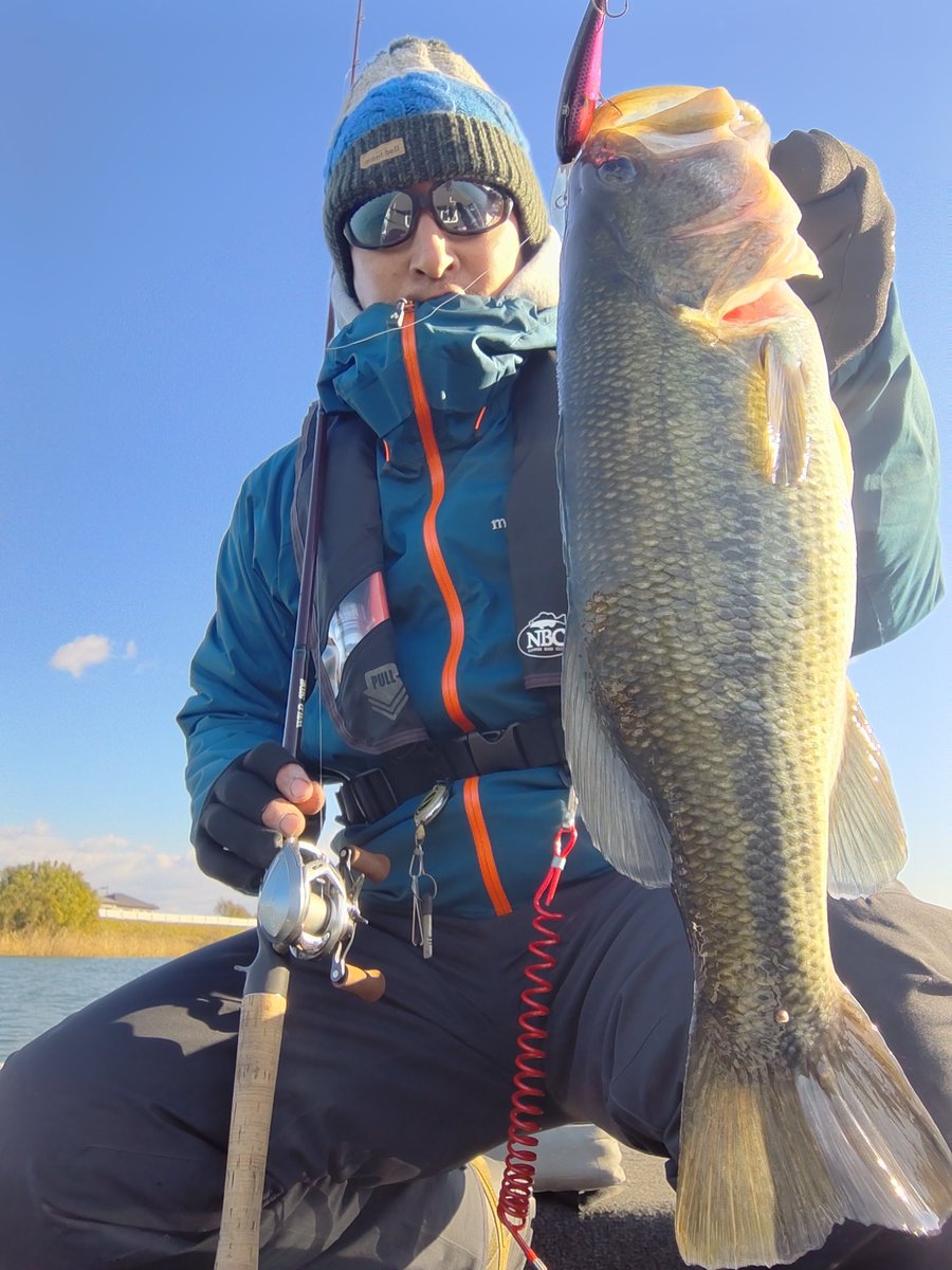 R39018's tweet photo. 水温10度の旧吉野川。 今回もハードベイト縛りでチャレンジ。 ソウルシャッドで一発出ました。

WSC-G62L
ソウルシャッド62

#旧吉野川
＃レジットデザイン
#ジャッカル https://t.co/4s9kM2kZPr