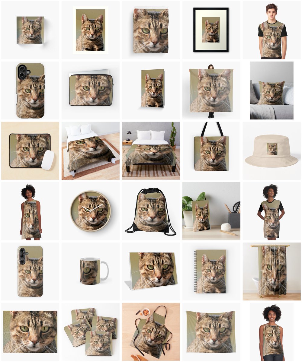 TaicheTees's tweet photo. Portrait Of A Cute Tabby Cat With Direct Eye Contact #taiche #redbubble  #catworship #cats #catoftheday #catworldwide #ilovemycat #catlover #cat #furchild #pet #feline #catlovers #catlove #catlovergifts #giftsforcatlovers #giftideas https://t.co/aIawK7Pavg https://t.co/4OoVax5I5Y