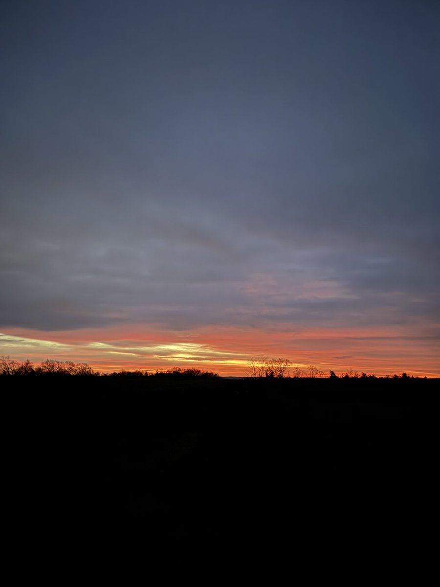 Peanut Coleman tweet media