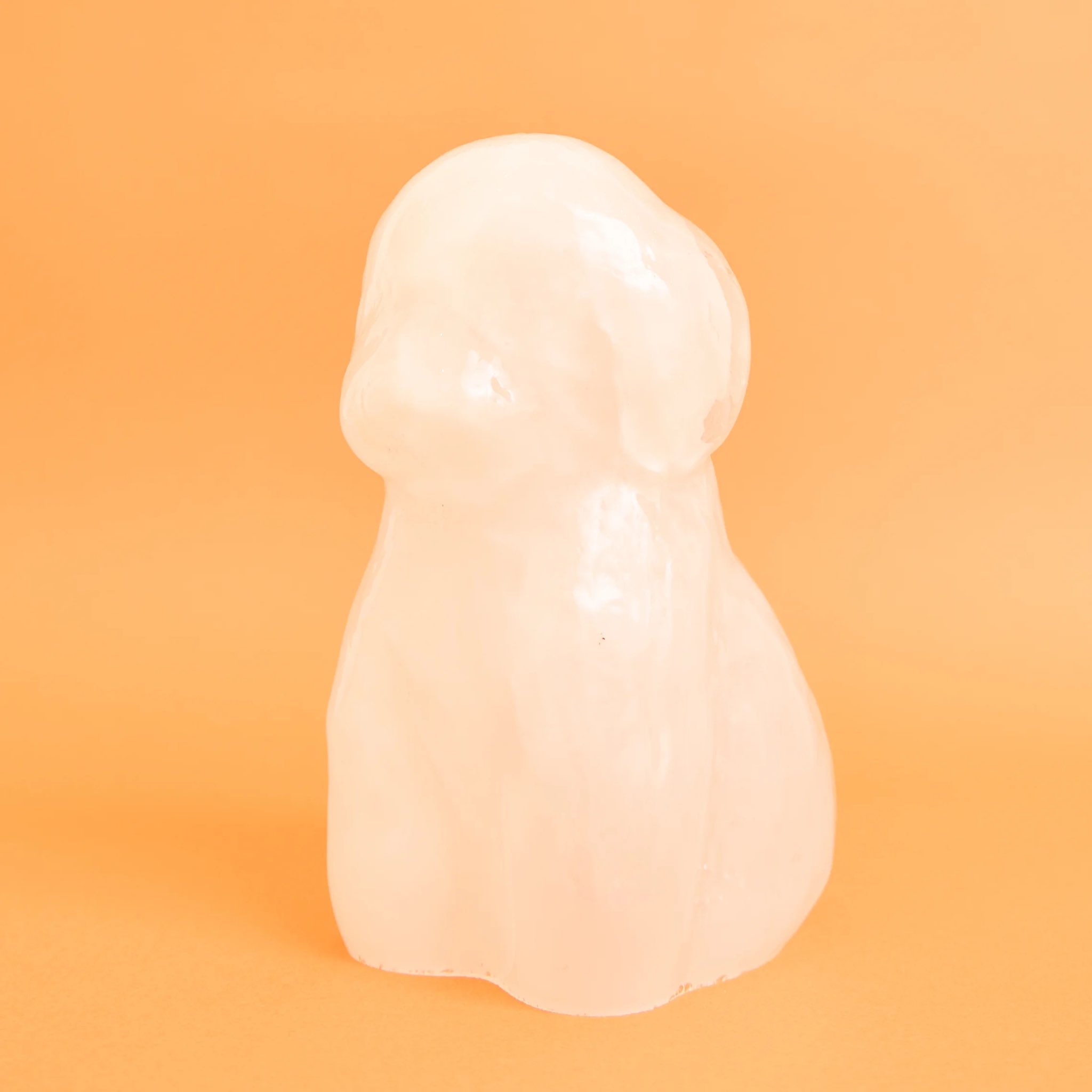 サリー sasamoto natsuki / BUDDY サリー sasamoto natsuki / BUDDY