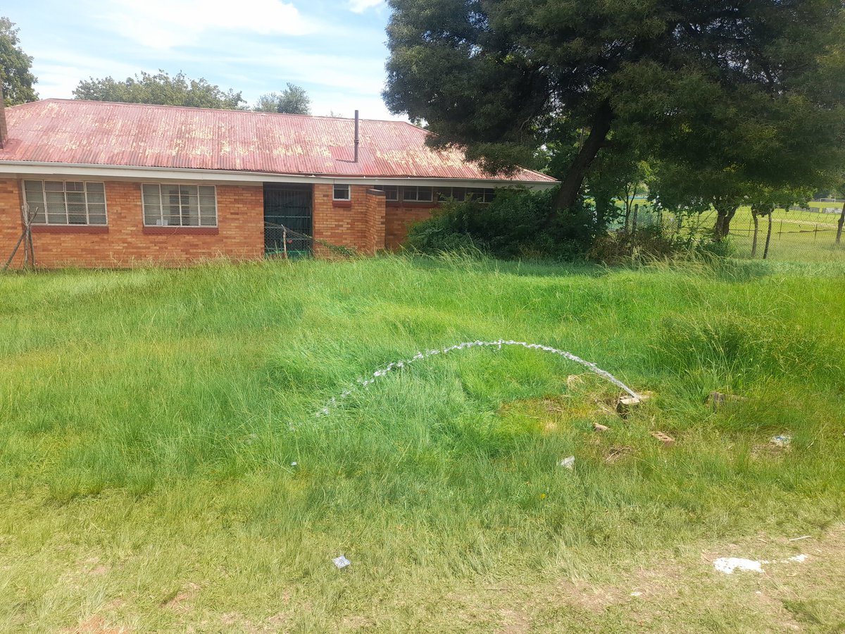 Delfos Cricket Club tweet media