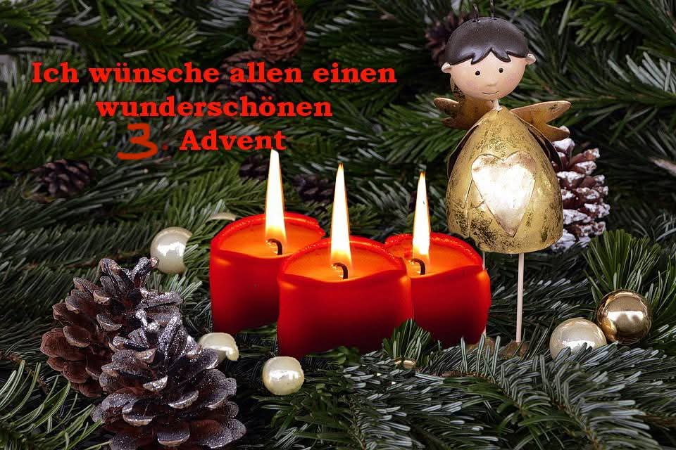 Rena Jacob 🎗 📯 tweet media