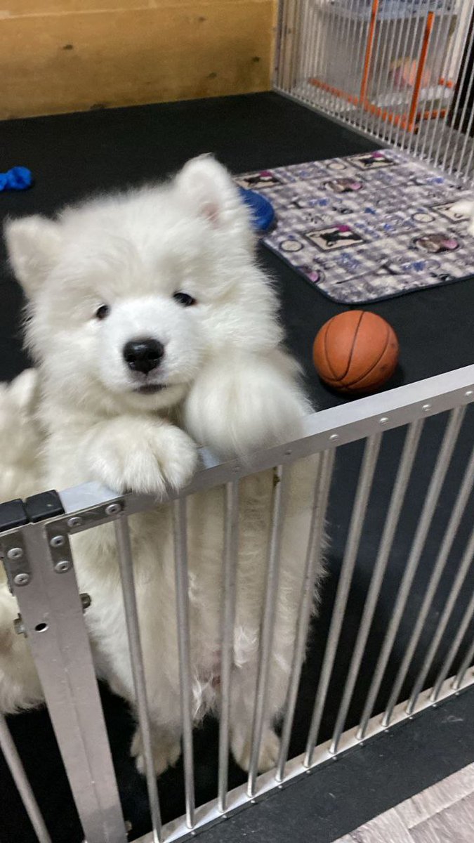 Just look at him, J U S T LOOK AT HIM...