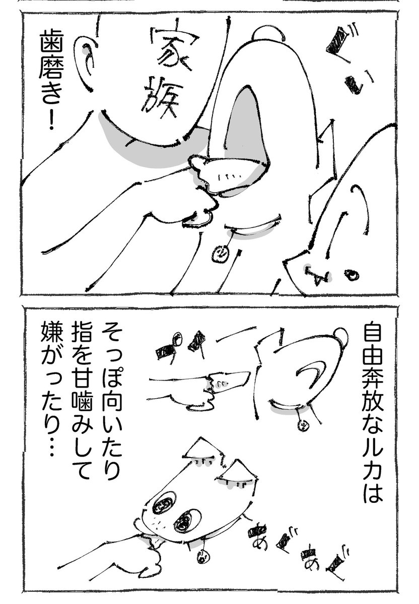 【1/3】 