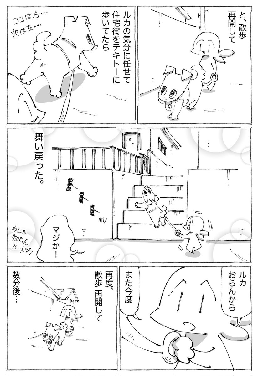 【3/3】 