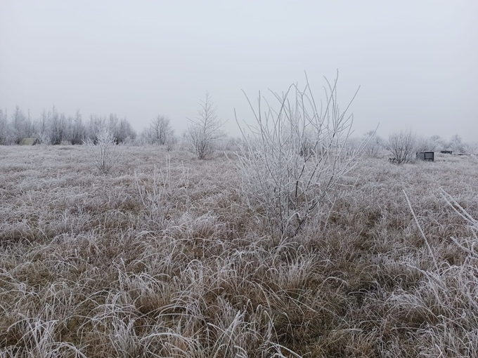 #ShakespeareSunday
“A sad tale's best for winter: I have one of sprites and goblins.”
The Winter's Tale
