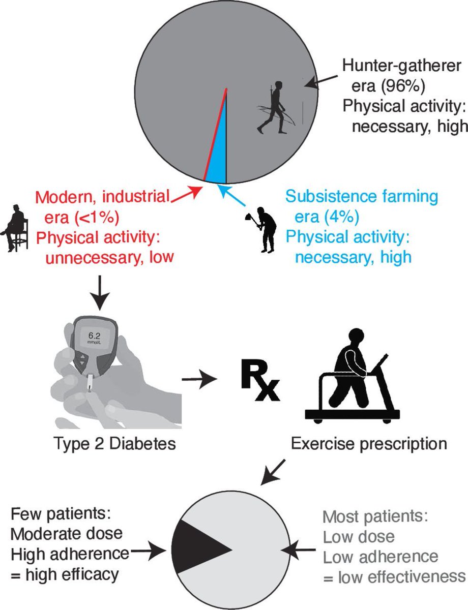BJSM_BMJ's tweet photo. 📣 #BestofBJSM for November ✅

What were the most popular posts from last month? 🔥 🔥

🥇 #OriginalResearch - Physical activity and life expectancy 📈 - https://t.co/MdRoxBiVZ2

🥇 #BJSMBlog - Exercise, metformin, or both? 🏃‍♀️ 💊 - https://t.co/cFG1VmGkCY

🥇 #Review - Why exercise may never be effective medicine 🤔 - https://t.co/Au3SzT78FK
