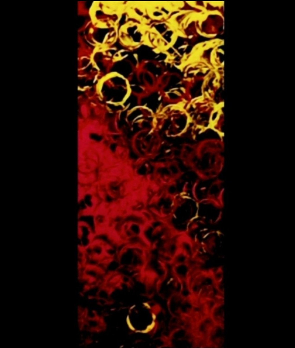 "Roses and gold rings"Acrylic on canvas 50 x 150
rarible.com/sladjana_art/o…
#abstractart #acrylicpainting #hoteldecor #homedecor