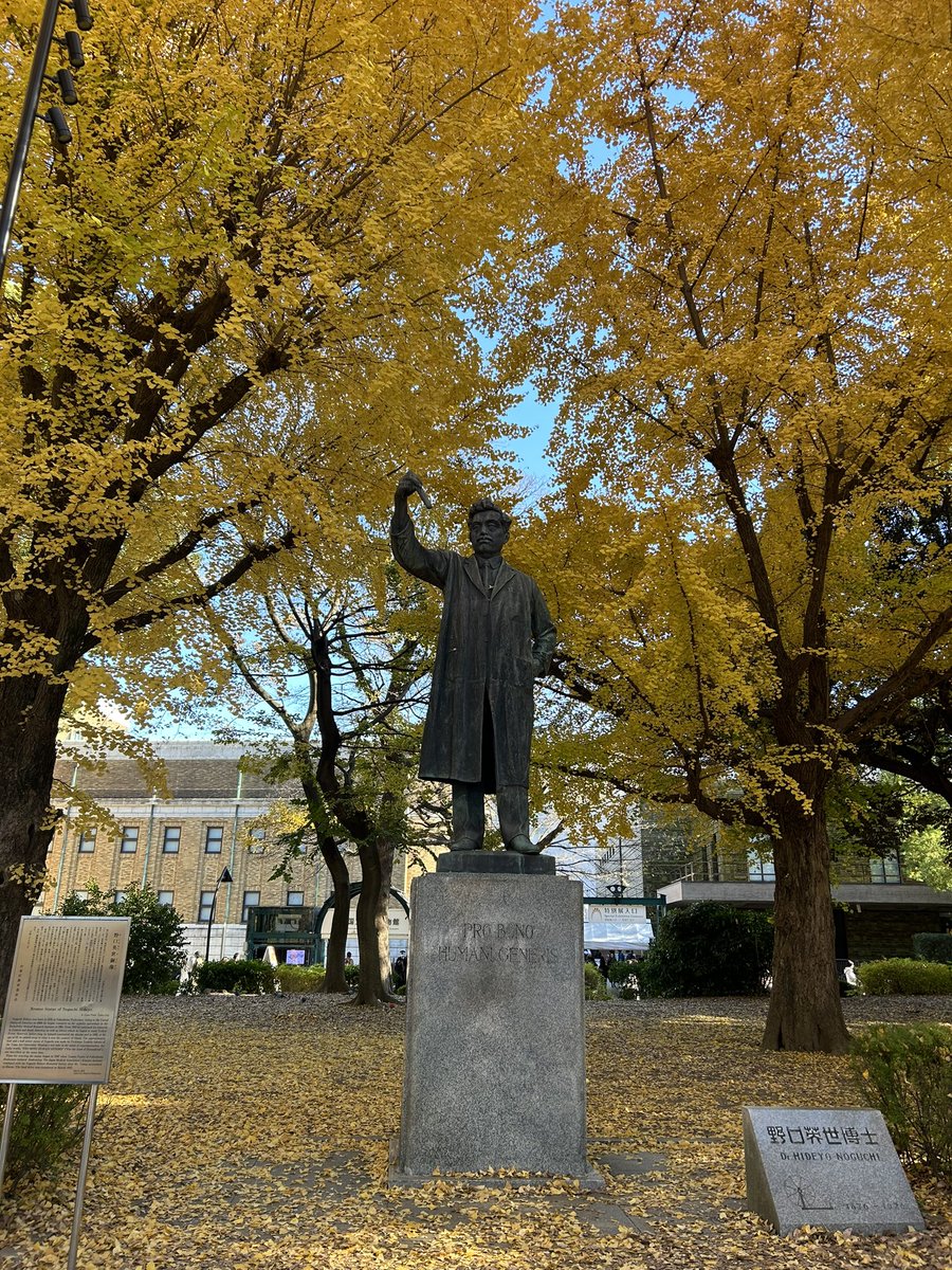 _n_kt__'s tweet photo. 友達が誕生日にくれたズボン、シルエット可愛すぎる〜🍂 https://t.co/jL7RuKHbdC