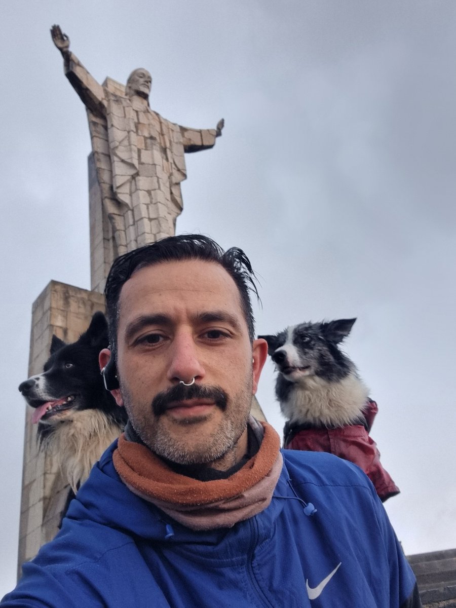 VectorBall's tweet photo. #bordercollie #bordercollielife #bordercolliegram #kongdog #dog #juliusk9 #狗 #개 #Hund #dog #perro #собака https://t.co/CiNhUQHT24