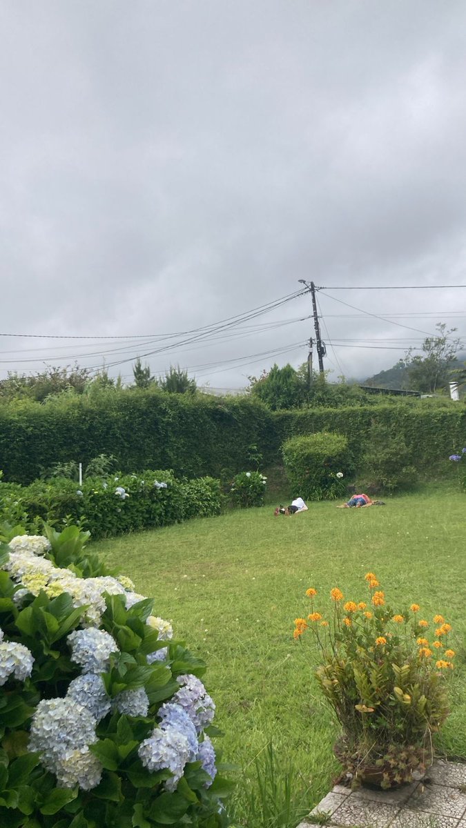 Lynda_Savaranin's tweet photo. 1dimanche #LaRéunion ⚘️ Pensées pour mes amis #Mayotte et aux 02 directeurs cabinet 2ma promo 2023/2024  2l'Ecole 2 #Directeurs 2cabinet qui viennent 2subir de plein fouet le #CycloneChido qui a dévasté l'île🌎 @outremer_gouv 1grande famille dans moments tristes @gouvernementFR https://t.co/PzwH7BFL5k
