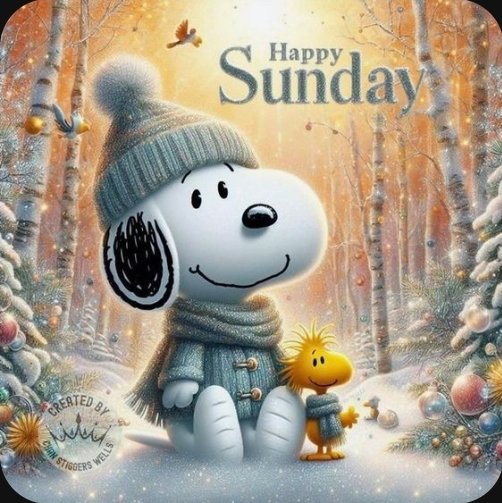 MNHockeyMomx3's tweet photo. Good morning my XFamily, Patriots, Veterans, and LEO's!!
It's Sunday! The Lord's day!
Keep praying!
Love on your family. Check on your neighbors and Vets!
Merry Christmas #MMCGA
LOVE you all! ❤️🎄❄️☃️🤶 https://t.co/c4PK7004oN