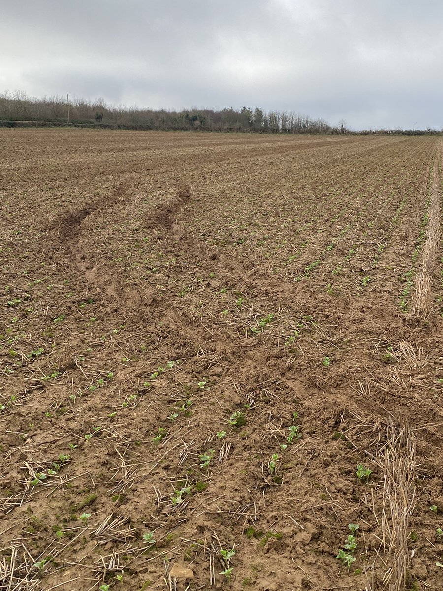 More asshats !! Lovely 100 acres of beans … playground vermin 💥💥🤦🤬🤬